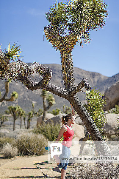 Side view of female hiker exercising at Joshua Tree National Park during sunny day