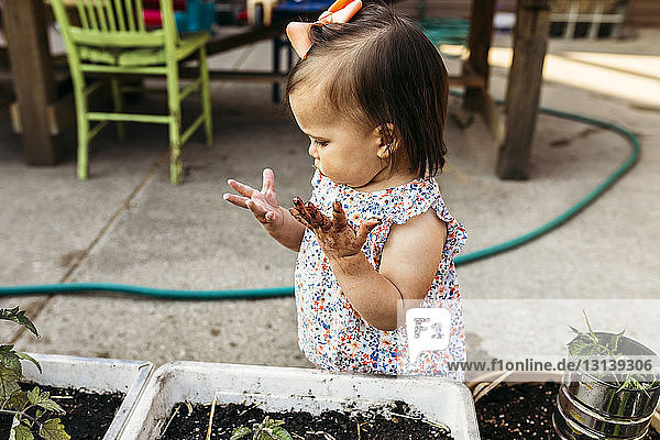 Schrägansicht eines kleinen Mädchens mit unordentlichen Händen  das bei Topfpflanzen im Garten steht