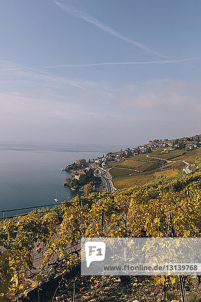 Hochwinkelansicht eines terrassierten Weinbergs am Genfer See gegen den Himmel