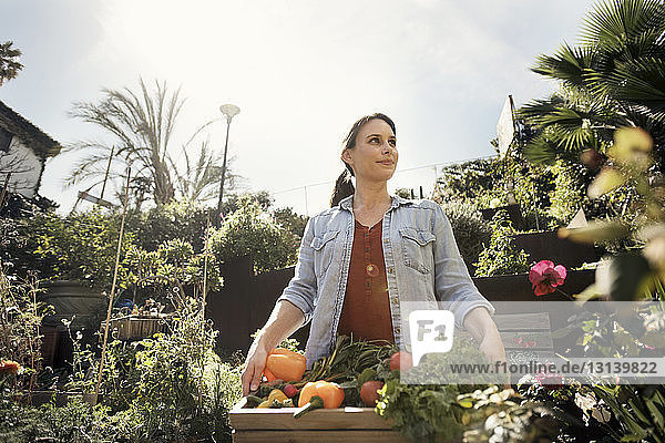 Nachdenkliche mittel-erwachsene Frau trägt Kiste voller frisch geerntetem Gemüse auf Biobauernhof