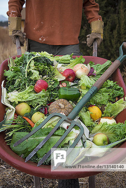 Mann in der Mitte trägt Obst und Gemüse in einer Schubkarre