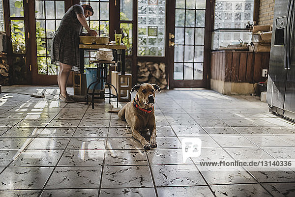 Female potter making clay pot at pottery with dog sitting on tiled floor in foreground