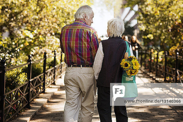 Rückansicht eines älteren Paares  das auf einem Fußweg im Park spazieren geht