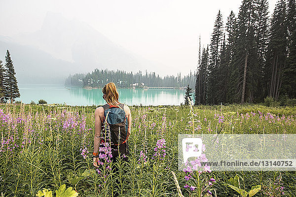 Rear view of woman with backpack walking amidst plants at Yoho National Park