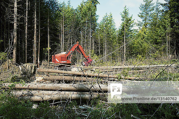 Erdbewegungsmaschine inmitten von Baumstämmen im Wald