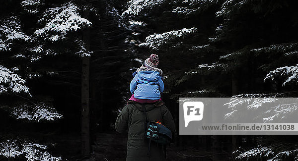 Rückansicht eines Vaters  der seine Tochter auf den Schultern trägt  während er im Winter im Wald spazieren geht