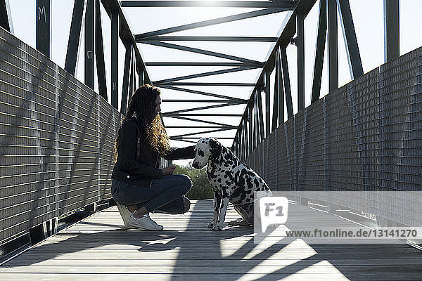 Side view of woman petting Dalmatian while crouching on footbridge