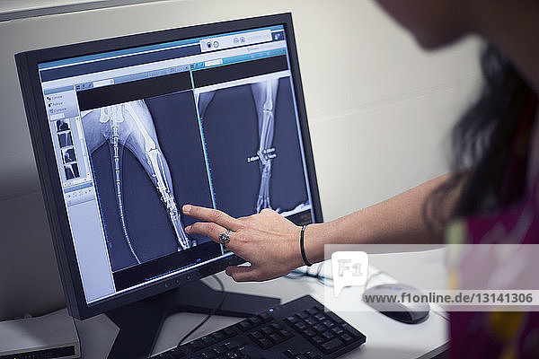 Cropped image of veterinarian pointing at x-ray on computer in clinic