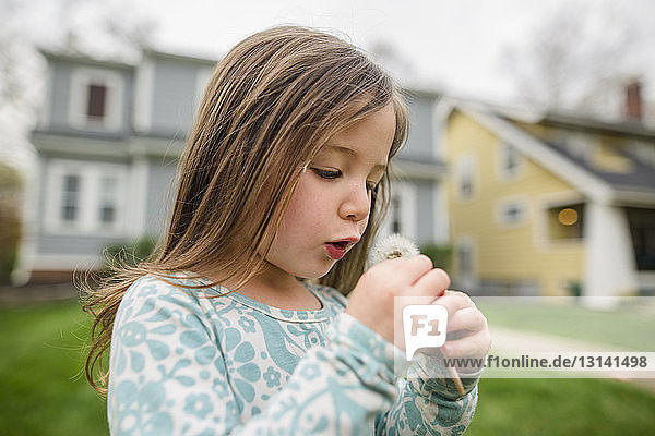 Cute girl playing with dandelion while standing at lawn against house