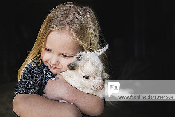 Hochwinkelansicht eines Mädchens  das ein Ziegenbaby umarmt