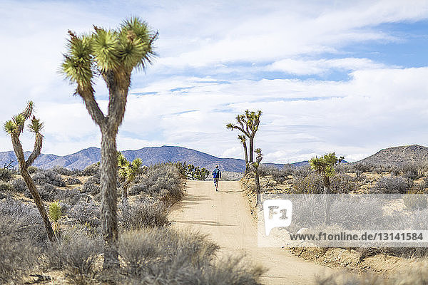 Rear view of male hiker running on road at Joshua Tree National Park during sunny day