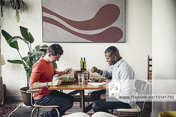 Homosexual males having fresh salad at dining table
