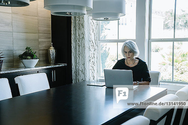 Geschäftsfrau  die am Laptop arbeitet  während sie im Büro am Fenster sitzt