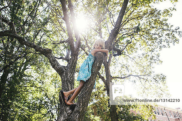 Low angle portrait of girl standing on tree