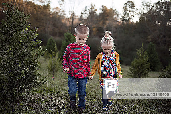 Siblings holdings hands while walking on grassy field
