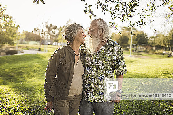 Liebevolles älteres Paar  das sich im Park Auge in Auge gegenübersteht