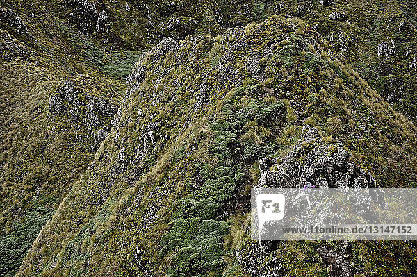 Fernblick auf eine Wanderin  die in den Bergen wandert  Tararua Ridge  Neuseeland