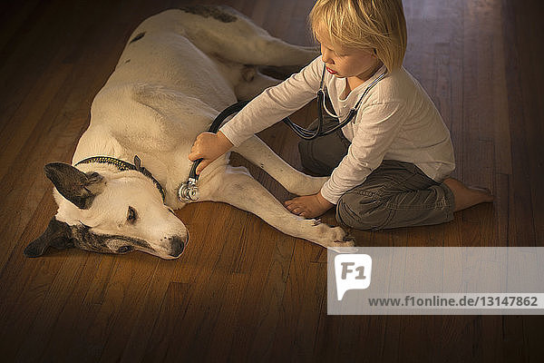Dreijähriger Junge überwacht zu Hause seinen Hund mit einem Stethoskop