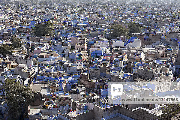 Luftaufnahme der blauen Stadt  Jodhpur  Rajasthan  Indien