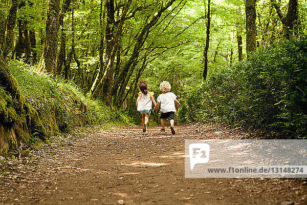 Zwei Kinder auf einem Waldweg