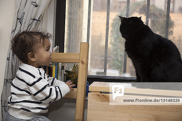 Porträt eines weiblichen Kleinkindes  das eine Katze auf der Fensterbank beobachtet