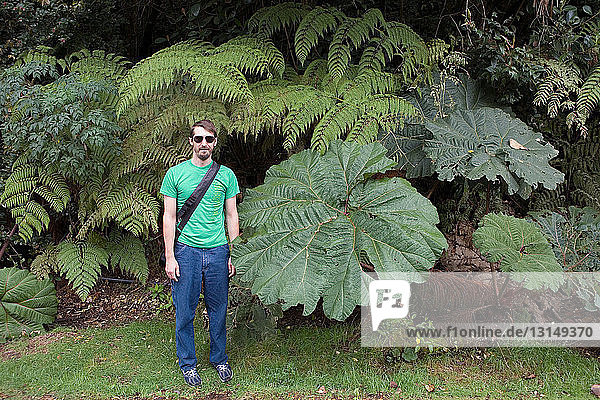 Mann neben großen Blättern stehend  Poas Volcano National Park  Costa Rica