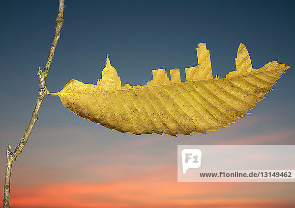 City skyline cut in yellow leaf