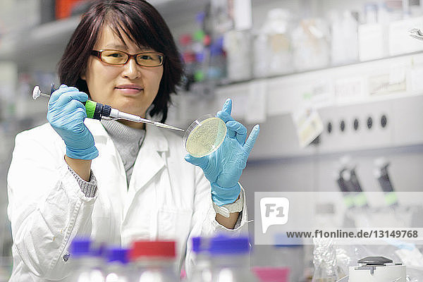 Wissenschaftlerin bei der Untersuchung einer Petrischale im Labor