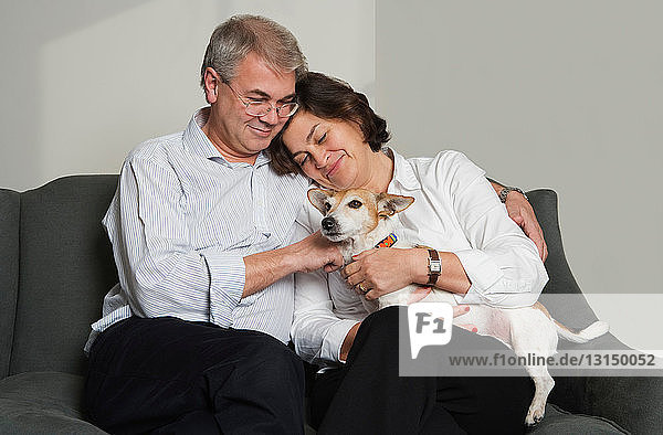 Mature couple playing with dog on sofa