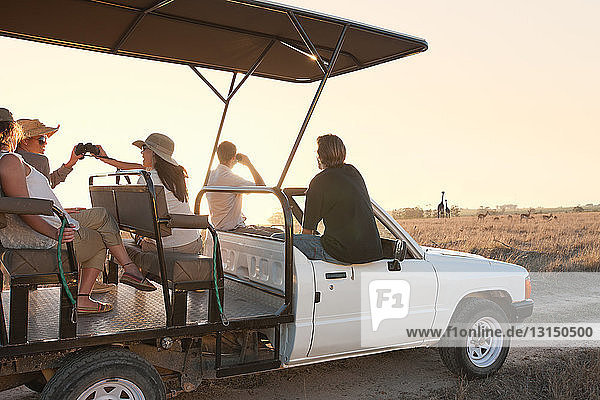 Menschen auf Safari im Geländewagen  Stellenbosch  Südafrika