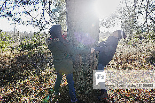 Siblings holding hands in ring around tree