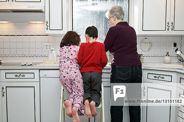 Großmutter mit Junge und Mädchen in der Küche  Rückansicht