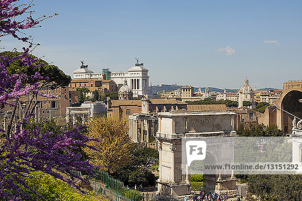 Historische Denkmäler  Rom  Italien