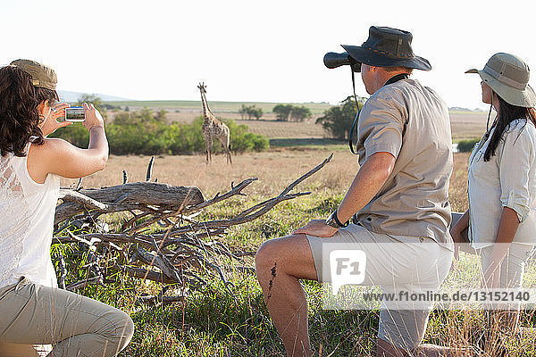 Menschen beim Fotografieren von Wildtieren auf Safari  Stellenbosch  Südafrika