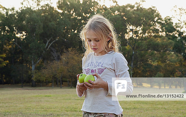 Girl holding apples