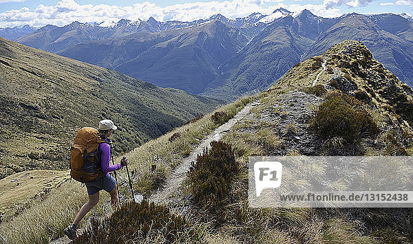 Woman hiking in mountains  New Zealand