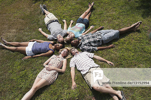 Freunde liegen im Gras und schlafen im Kreis