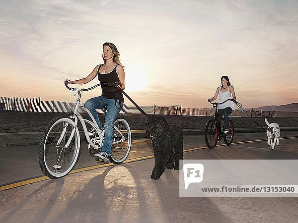 Radfahrende Frauen mit angeleinten Hunden