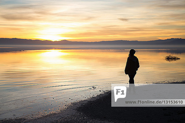 Junge Frau steht am Wasser und beobachtet den Sonnenuntergang  Rückansicht