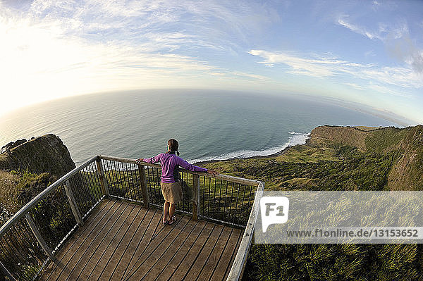 Hohe Winkelansicht einer jungen Frau mit Blick auf die Küste  Nordinsel  Neuseeland