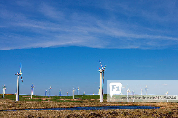 View of wind farm turbines.