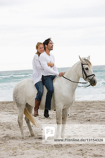 Couple with horse on the beach