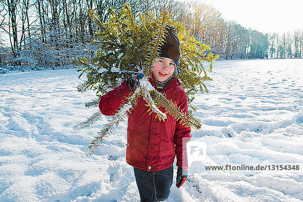 Boy carrying Christmas tree in snow