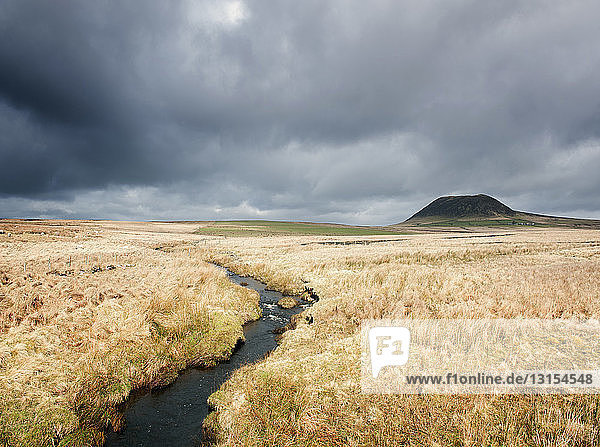 View of marshland and Slemish mountain  County Antrim  Northern Ireland  UK