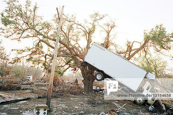In einem Baum hängender Lastwagen  nach dem Hurrikan Katrina  Plaquemines Parish  Louisiana  USA
