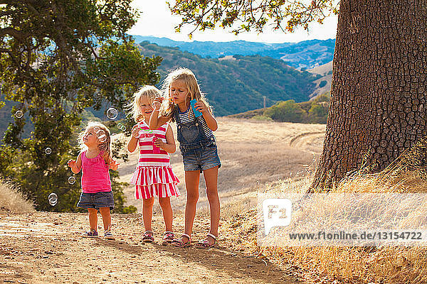 Girls blowing bubbles  Mt Diablo State Park  California  USA