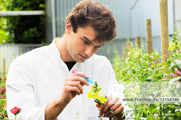 Wissenschaftlerin untersucht Blume im Garten