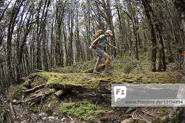 Frau beim Wandern im Wald auf einem Baumstamm  Neuseeland