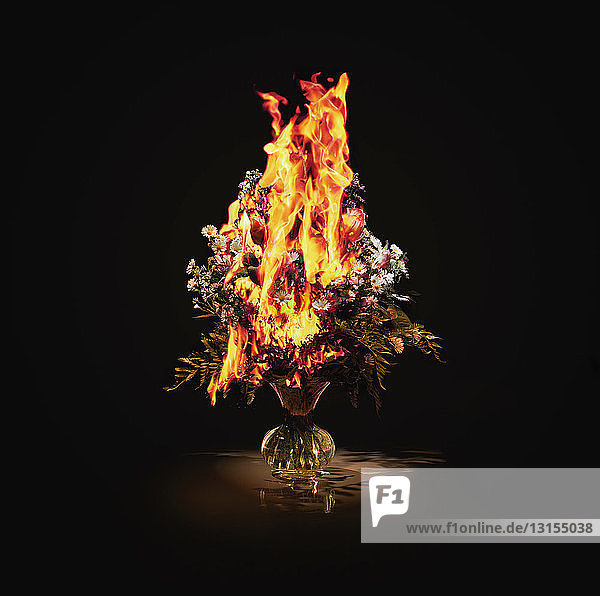 Vase mit brennenden Blumen
