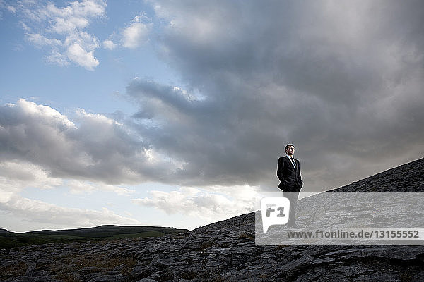 Businessman standing in rocky landscape
